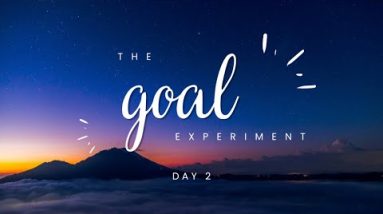 The Goal Experiment | Day 2
