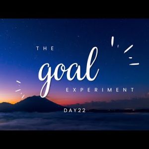 The Goal Experiment | Day 22